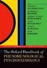 Matthew Broome, Anthony Vincent Fernandez, Paolo Fusar-Poli, Andrea Raballo, RenÃ© Rosfort, Giovanni Stanghellini... - The Oxford Handbook of Phenomenological Psychopathology