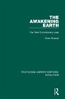Peter Russell - Awakening Earth