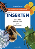 Lise Herzog, Morgan Peyrot, Morgane Peyrot - Anaconda Taschenführer Insekten. 70 Arten entdecken und bestimmen