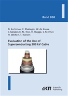 Wescley De Sousa, Simon Fechner, Jörn Geisbüsch, Dusti Kottonau, Dustin Kottonau, Thomas Küsters... - Evaluation of the Use of Superconducting 380 kV Cable