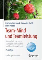Benedik Hackl, Benedikt Hackl, Joachi Hasebrook, Joachim Hasebrook, Sibyll Rodde - Team-Mind und Teamleistung