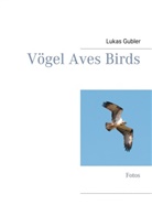Lukas Gubler - Vögel Aves Birds