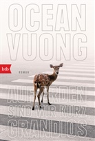 Ocean Vuong - Auf Erden sind wir kurz grandios