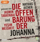 Mathias Aicher, Yesim Meisheit, Jasmin Tabatabai - Die Offenbarung der Johanna, 2 Audio-CD, 2 MP3 (Audio book)