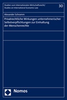 Alexander Schramm - Privatrechtliche Wirkungen unternehmerischer Selbstverpflichtungen zur Einhaltung der Menschenrechte