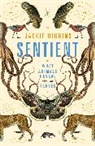 JACKIE HIGGINS, Higgins Jackie - Sentient