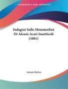 Antonio Berlese - Indagini Sulle Metamorfosi Di Alcuni Acari Insetticoli (1881)