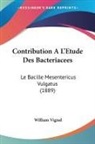 William Vignal - Contribution A L'Etude Des Bacteriacees