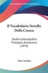 Pietro Fanfani - Il Vocabolario Novello Della Crusca