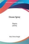 Mary Porter Beegle - Ocean Spray