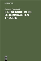 Gerhard Kowalewski - Einführung in die Determinantentheorie