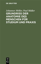 Johannes Möller, Paul Müller - Grundriss der Anatomie des Menschen für Studium und Praxis