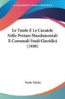 Paolo Paletti - Le Tutele E Le Curatele Nelle Preture Mandamentali E Comunali Studi Giuridici (1888)