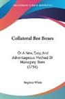 Stephen White - Collateral Bee Boxes