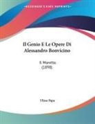 Ulisse Papa - Il Genio E Le Opere Di Alessandro Bonvicino