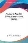 Jacob Van Breda De Haan - Anatomie Van Het Geslacht Melocactus (1891)