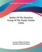 Elizabeth Gifford Peckham, George Williams Peckham - Spiders Of The Marptusa Group Of The Family Attidae (1894)