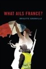 Brigitte Granville - What Ails France?