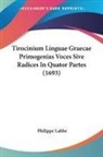 Philippe Labbe - Tirocinium Linguae Graecae Primogenias Voces Sive Radices In Quator Partes (1693)