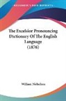 William Nicholson - The Excelsior Pronouncing Dictionary Of The English Language (1876)