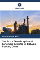 NADEGE MBULA NGOY - Studie zur Gasadsorption für Longmaxi-Schiefer im Sichuan-Becken, China