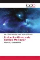 Juan C. Castro, Marianela Cobos, Jorge Luis Marapara - Protocolos Básicos de Biología Molecular