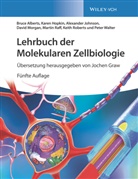 Bruc Alberts, Bruce Alberts, Jochen Graw, Bärbel Häcker, Kare Hopkin, Karen Hopkin... - Lehrbuch der Molekularen Zellbiologie