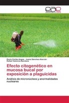 Rocío Cortés Angoa, Juana Sánchez-Alarcón, Rafael Valencia-Quintana - Efecto citogenético en mucosa bucal por exposición a plaguicidas