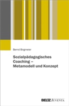 Bernd Birgmeier - Sozialpädagogisches Coaching - Metamodell und Konzept
