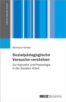 Reinhard Hörster - Sozialpädagogische Versuche verstehen