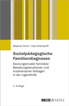 Stepha Cinkl, Stephan Cinkl, Thom Marthaler, Thomas Marthaler, Uwe Uhlendorff - Sozialpädagogische Familiendiagnosen