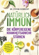 Stefan Siebrecht, Stefan (Dr.) Siebrecht - Natürlich IMMUN - die körpereigene Krankheitsabwehr stärken