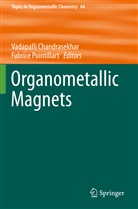 Vadapall Chandrasekhar, Vadapalli Chandrasekhar, Pointillart, Pointillart, Fabrice Pointillart - Organometallic Magnets