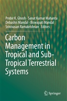 Probir K. Ghosh, Sana Kumar Mahanta, Sanat Kumar Mahanta, Sanat Kumar Mahanta, Biswapati Mandal, Debashis Mandal... - Carbon Management in Tropical and Sub-Tropical Terrestrial Systems