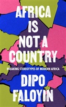 Dipo Faloyin - Africa Is Not a Country