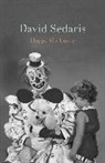 DAVID SEDARIS, David Sedaris, Sedaris David - Happy-Go-Lucky