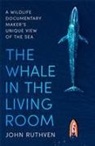 JOHN RUTHVEN, John Ruthven - The Whale in the Living Room