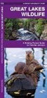 James Kavanagh, Waterford Press, Raymond Leung - Great Lakes Wildlife