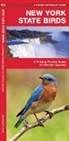 James Kavanagh, Waterford Press, Raymond Leung - New York State Birds
