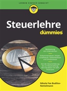 Nikola Budilov-Nettelmann, Nikola Fee Budilov-Nettelmann - Steuerlehre für Dummies