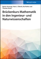 Raine Ansorge, Rainer Ansorge, Hans Oberle, Hans J Oberle, Hans J. Oberle, Kai Rothe... - Brückenkurs Mathematik in den Ingenieur- und Naturwissenschaften
