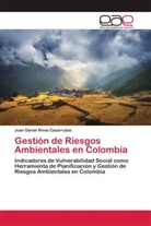 Juan Daniel Rivas Casarrubia - Gestión de Riesgos Ambientales en Colombia
