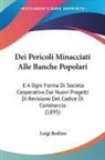 Luigi Rodino - Dei Pericoli Minacciati Alle Banche Popolari