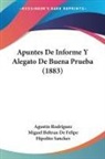 Miguel Beltran De Felipe, Agustin Rodriguez, Hipolito Sanchez - Apuntes De Informe Y Alegato De Buena Prueba (1883)