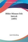 Jacob Ahrenberg - Bilder Minnen Och Intryck (1895)