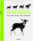 Marlonneke Willemsen - Wachsen