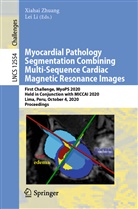 Li, Li, Lei Li, Xiaha Zhuang, Xiahai Zhuang - Myocardial Pathology Segmentation Combining Multi-Sequence Cardiac Magnetic Resonance Images
