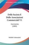 Rodolfo Calamandrei - Delle Societa E Delle Associazioni Commerciali V1