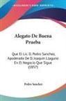 Pedro Sanchez - Alegato De Buena Prueba