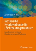 Jürge Fleischer, Jürgen Fleischer - Intrinsische Hybridverbunde für Leichtbautragstrukturen